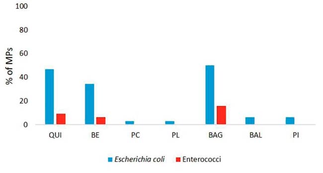 bacterias fecales en microplasticos estuario rio de la plata