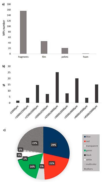 figura graficos microplasticos plastisfera rio de la plata