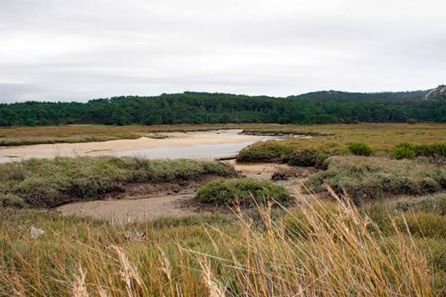 camino de a Gandarela Corrubedo