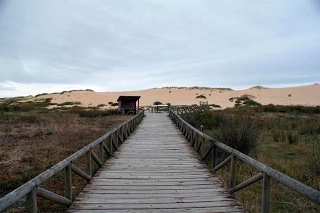 Camino del viento corrubedo