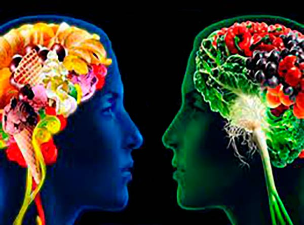 dieta saludable vs dieta WS efectos en cerebro