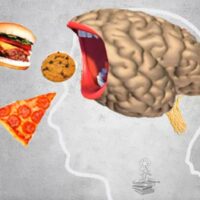 control del apetito dependiente del hipocampo Portada