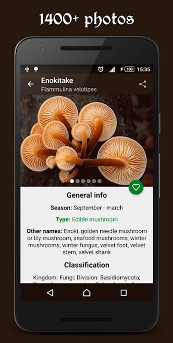 Book of Mushrooms app para identificar setas