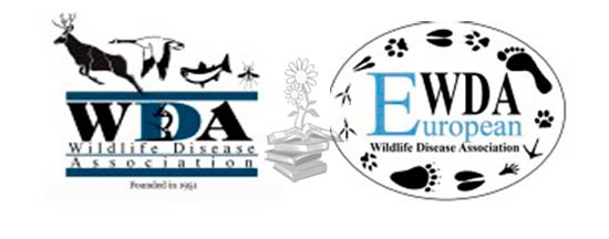 Logos WDA y EWDA
