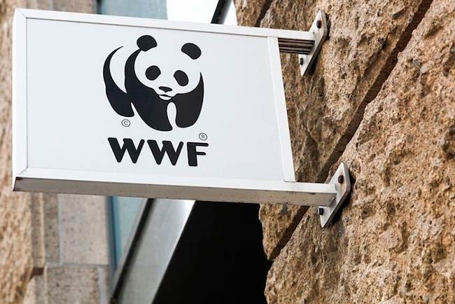 oso panda especie bandera logo WWF