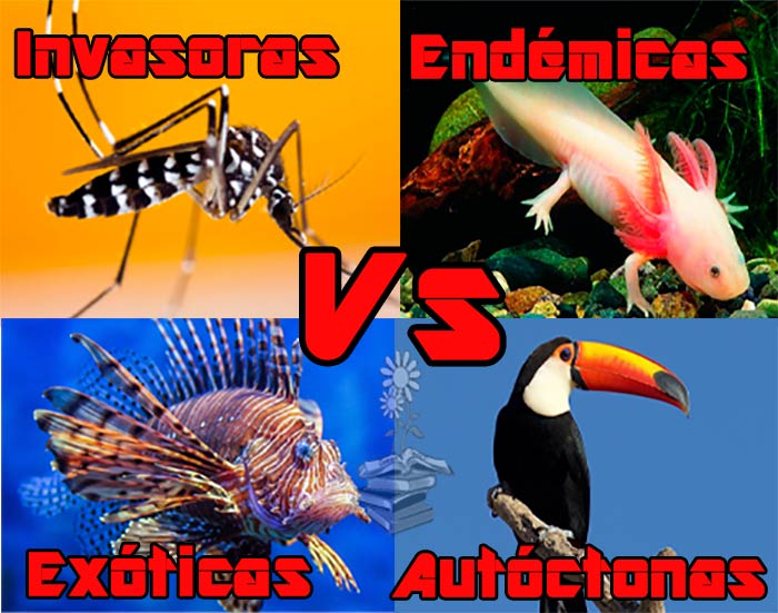 tipos de especies invasoras, exóticas, endémicas, autóctonas