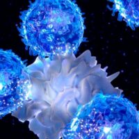 linfocito T Inmunoterapia contra el cancer portada