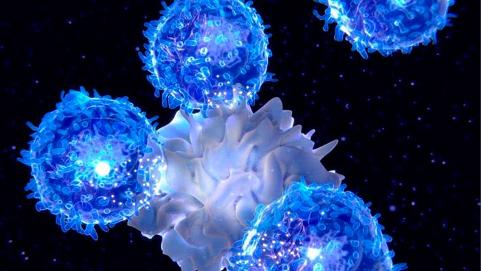 Inmunoterapia contra el cáncer: origen y en qué consiste