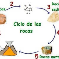 ciclo de las rocas portada