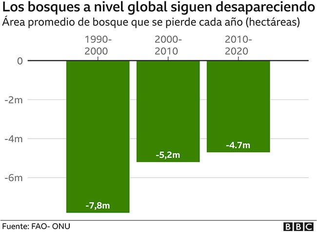 graifico bosques deforestacion