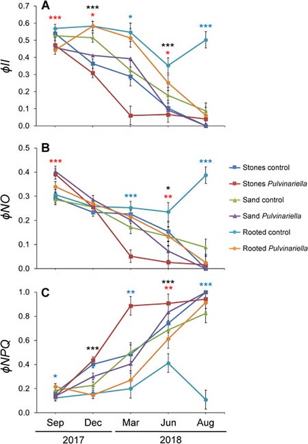 figura actividad fisiologica estrategia de control de Carpobrotus edulis