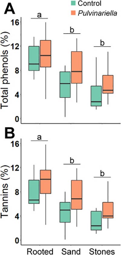 figura mediciones bioquimicas estrategia de control de Carpobrotus edulis 