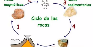 ciclo de las rocas portada