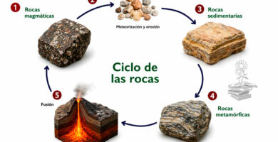 ciclo de las rocas portada
