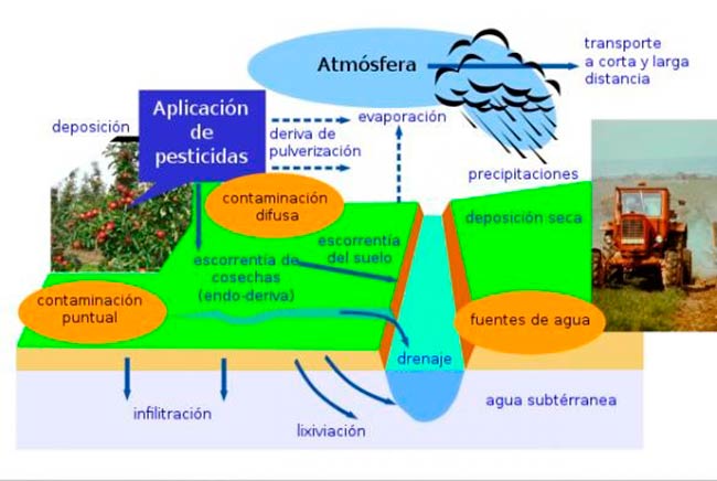 esquema contaminacion del agua tipos 