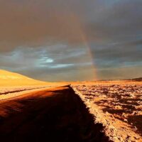 lluvias en el desierto de Atacama portada