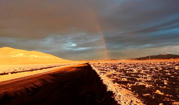 lluvias en el desierto de Atacama portada