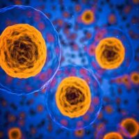 nanotransportadores con ARNm a celulas diana Portada