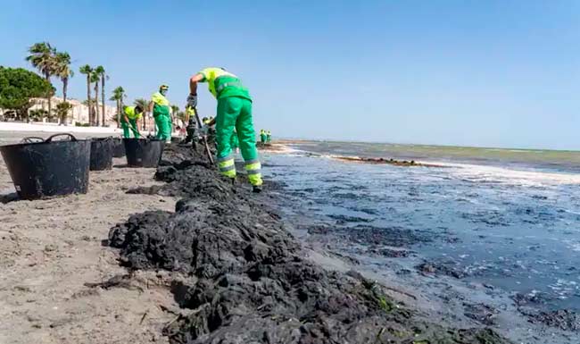 limpieza y retirada de algas en el Mar Menor