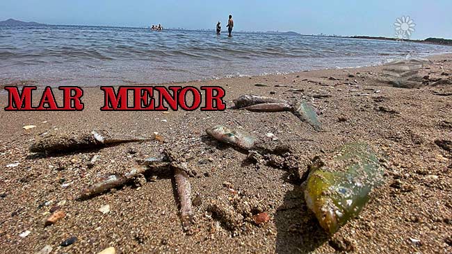 Mar Menor al colapso Portada