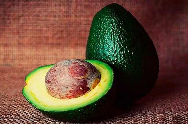 Palta que es