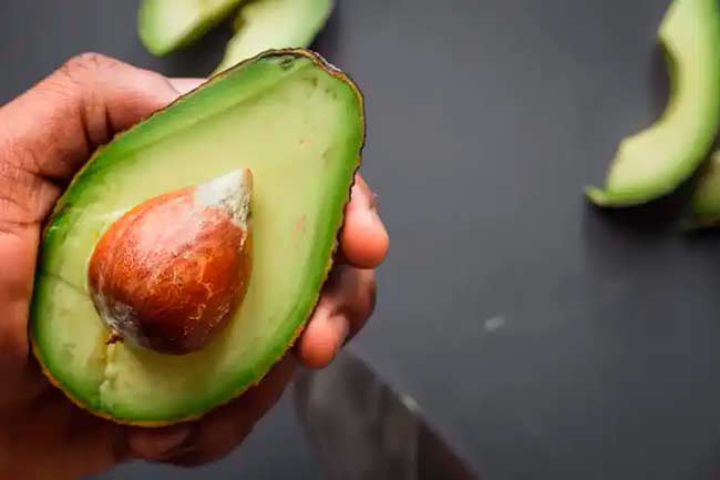 cultivar aguacate, maduracion de aguacate