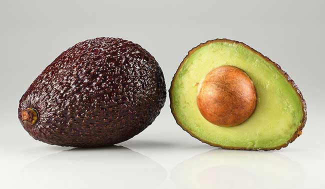 aguacate cultivar