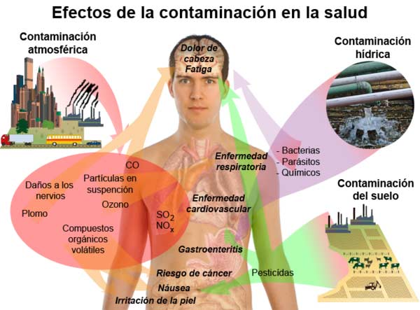 contaminacion ambiental efectos en la salud