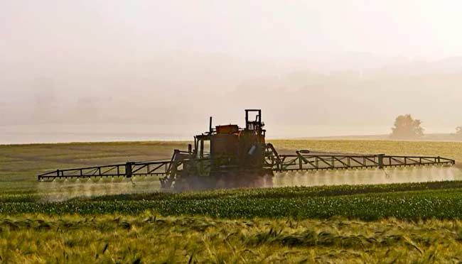 pesticidas agricultura