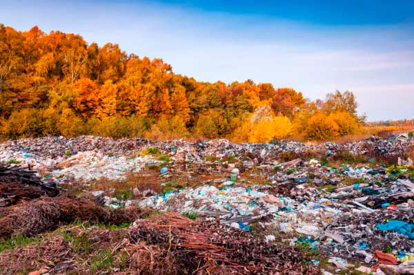 contaminacion del medio ambiente