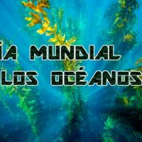 Dia Mundial de los Oceanos portada