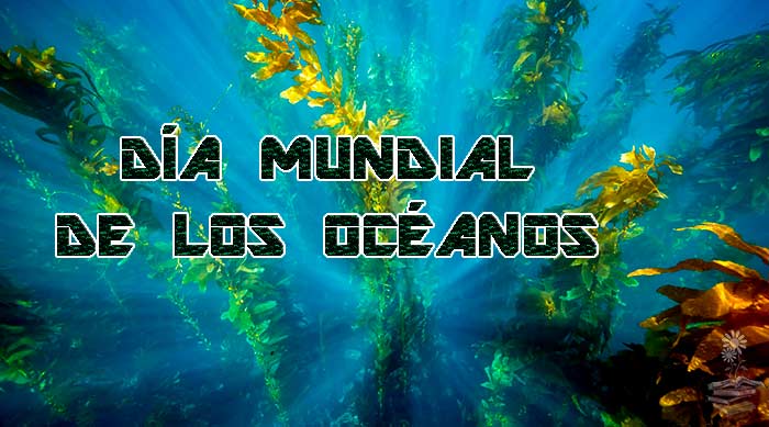 Dia Mundial de los Oceanos portada