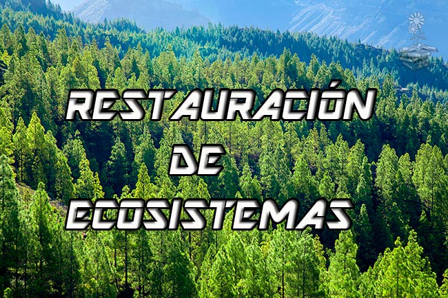 Día Mundial del Medio Ambiente 2021