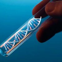 pruebas geneticas o test geneticos portada