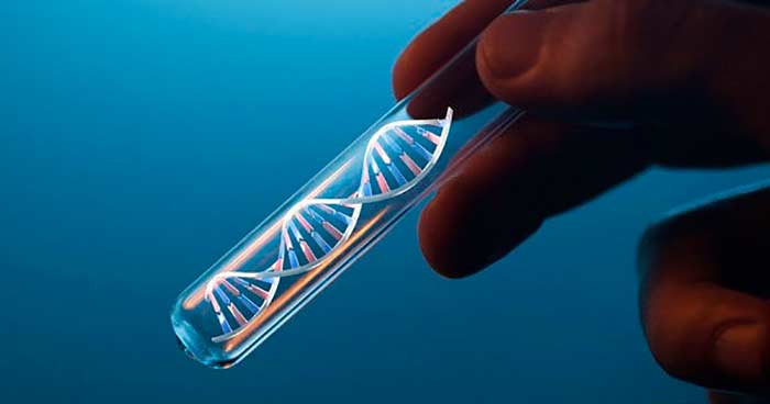 pruebas geneticas o test geneticos portada