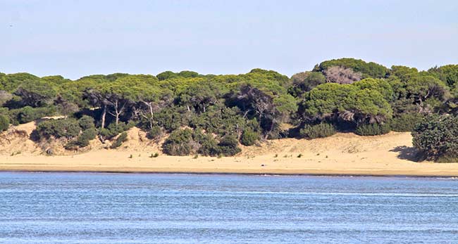 Parque Nacional de Doñana