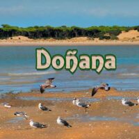 Doñana portada