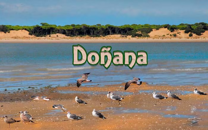 Doñana portada