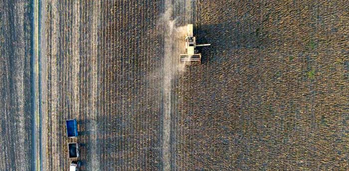 agricultura de alto rendimiento es mejor para el Medio Ambiente Portada