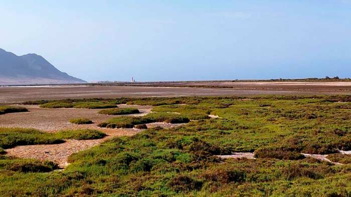 desecacion de Las Salinas de Cabo de Gata