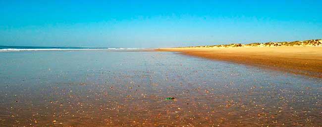 playa Doñana