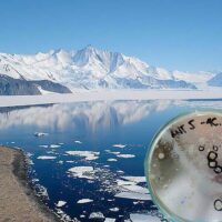 microorganismos de la Antártida para cultivar en suelos infértiles portada