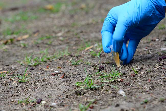 microorganismos de la Antártida para cultvar en suelos infertiles