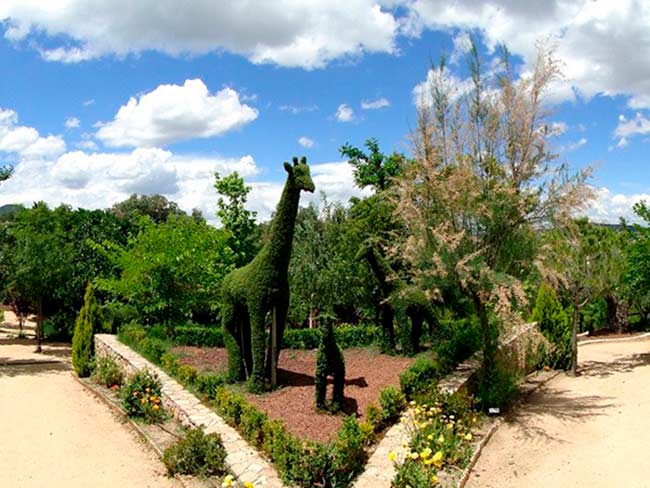 El Bosque Encantado Madrid