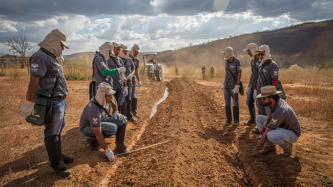 beneficios para los agricultores brasileños proyecto ABC Cerrado