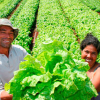 beneficios para los agricultores brasileños portada