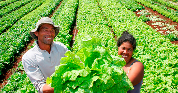 beneficios para los agricultores brasileños portada