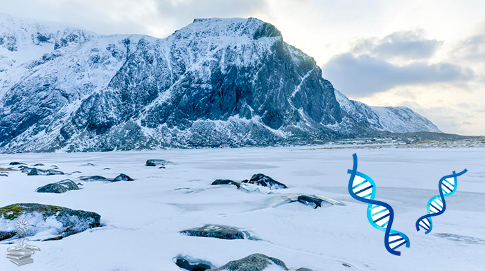 131 genes de resistencia a antibióticos en el Ártico portada