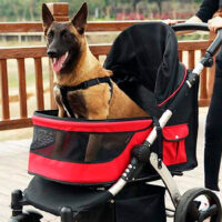 carrito para perros portada