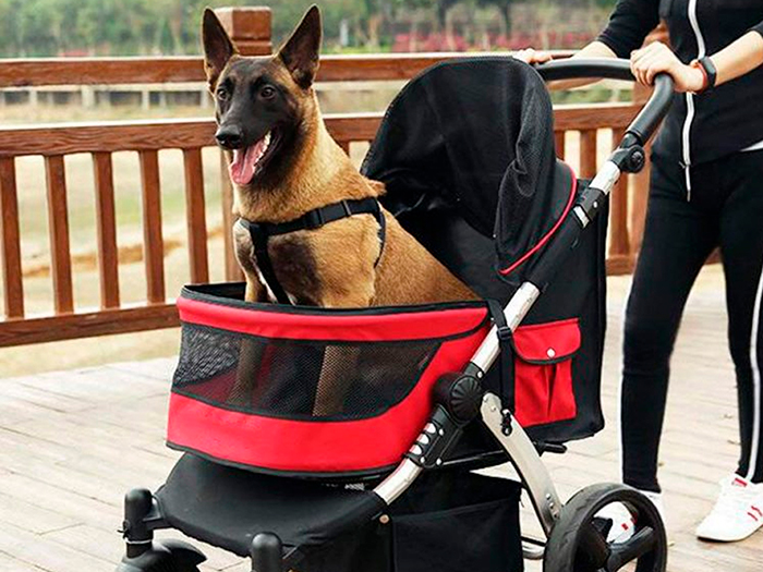 Carritos para perros, una forma segura para pasear a tu fiel amigo